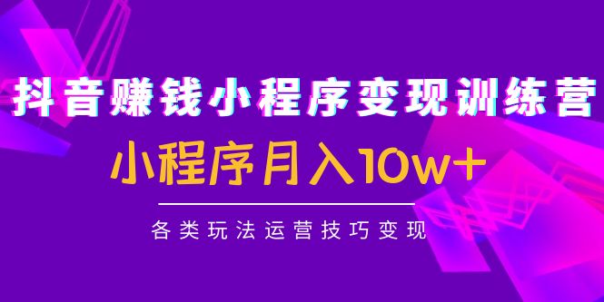 抖音赚钱小程序变现训练营：小程序月入10w+各类玩法运营技巧变现-16888副业资讯