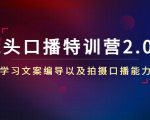 镜头口播特训营2.0版,学习文案编导以及拍摄口播能力(50节课时)-16888副业资讯