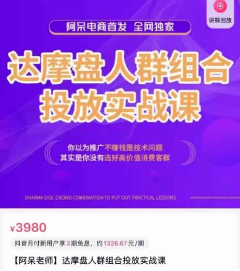 阿呆电商·达摩盘人群组合投放实战课，你以为推广不赚钱是技术问题，其实是你没有选好高价值消费客群-16888副业资讯