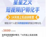 瑶瑶·自然流短视频IP孵化第二期，14天线上实战训练营，赋能100个人成为有数据能赚钱的独立IP孵化手-16888副业资讯