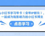 厦九九小红书学习年卡(全年IP孵化),沉浸式学习,一起成为有影响力的小红书博主-16888副业资讯