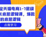 大圣淘宝天猫电商1-7层级盈利增长底层逻辑课,爆款的底层逻辑-16888副业资讯