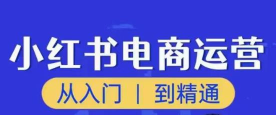 顽石小红书电商高阶运营课程，从入门到精通，玩法流程持续更新-16888副业资讯
