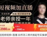 张越·短视频+直播,自然流三频共振起号实操课,短视频所有流量玩法讲解-16888副业资讯