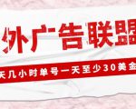 外面收费1980的最新国外LEAD广告联盟搬砖项目,单号一天至少30美金【详细玩法教程】-16888副业资讯