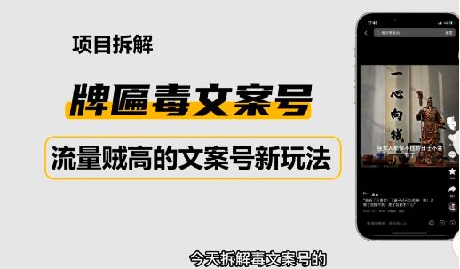 2023抖音快手毒文案新玩法，牌匾文案号，起号快易变现-16888副业资讯