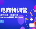 美团电商特训营：美团·店群玩法，无脑铺货月产出6000-15000+精细化月产2w+-16888副业资讯