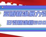 豆瓣精准暴力引流,日引精准粉500+【12课时】-16888副业资讯