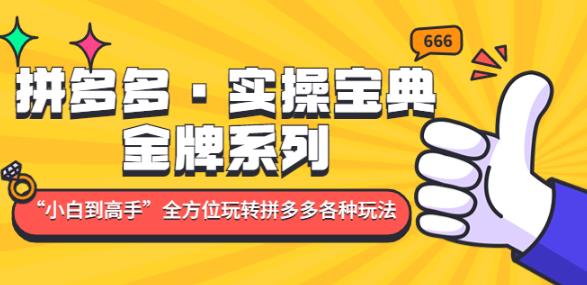 拼多多·实操宝典：金牌系列“小白到高手”带你全方位玩转拼多多各种玩法-16888副业资讯