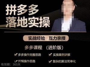 拼多多实战篇·落地实操：多多操作完整思路+实操案例讲解+拆解操作思路+复杂的算法简单化-16888副业资讯