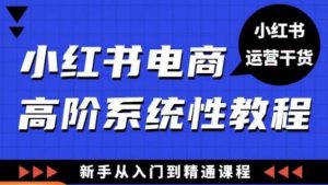 小红书电商高阶系统教程，新手从入门到精通系统课-16888副业资讯