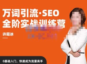 许茹冰·万词引流-SEO全阶实战训练营，0基础入门，快速成为流量高手-16888副业资讯
