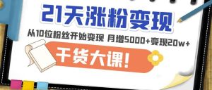 21天精准涨粉变现干货大课:从10位粉丝开始变现月增5000+变现20w+-16888副业资讯