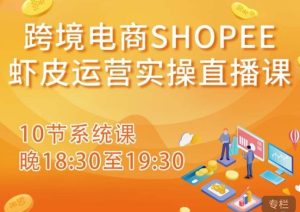 跨境电商Shopee虾皮运营实操直播课,从零开始学,入门到精通(10节系统课)-16888副业资讯