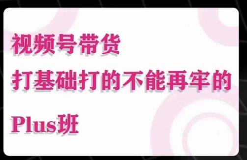 大播汇·视频号带货Puls班，视频号底层逻辑，起号自然流鱼塘等玩法-16888副业资讯