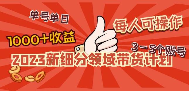 2023新细分领域带货计划：单号单日1000+收益不难，每人可操作3-5个账号-16888副业资讯