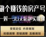 刘广标·同城房产号线上陪跑课,拍摄、剪辑、写文案、直播,做一个具有潜力价值的房产号-16888副业资讯