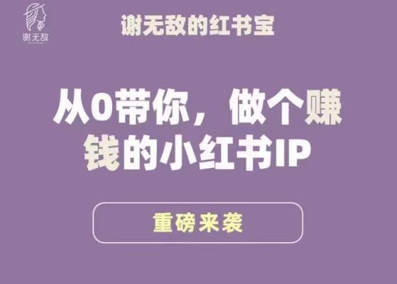 谢无敌·小红书运营大宝典，从0带你做个赚钱的小红书IP-16888副业资讯