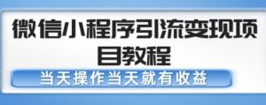 微信小程序引流变现项目教程，当天操作当天就有收益，变现不再是难事-16888副业资讯