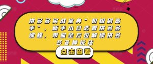 拼多多实战宝典“初级到高手”，新手小白必看拼多多课程，带你全方位解读拼多多各种玩法-16888副业资讯