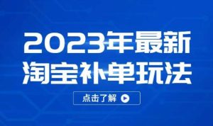 2023年最新淘宝补单玩法，18节课让教你快速起新品，安全不降权-16888副业资讯