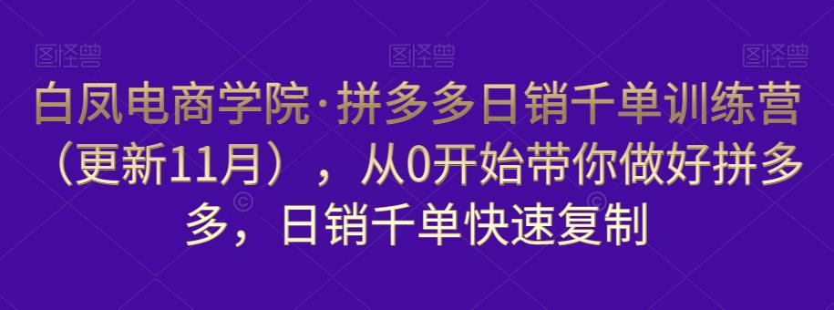 白凤电商学院·拼多多日销千单训练营，从0开始带你做好拼多多，日销千单快速复制（更新知2023年3月）-16888副业资讯