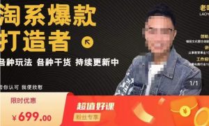 锋投老叶全店动销，淘系干货汇总，各种玩法，淘系爆款打造者-16888副业资讯