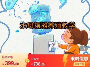 水母摆摊教学，包括摆摊技术、养殖技术、拿货渠道、抖音运营等-16888副业资讯