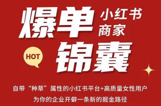 无畏·小红书商家爆单锦囊，掌握小红书各大规则，快速精准抢占行业和市场-16888副业资讯