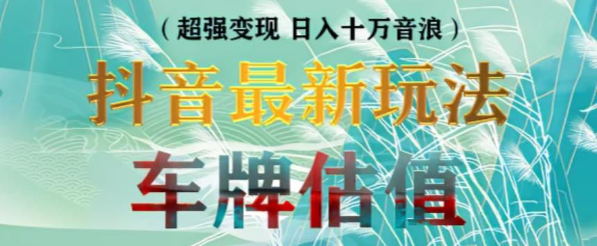 抖音最新无人直播变现直播车牌估值玩法项目，轻松日赚几百+【详细玩法教程】-16888副业资讯