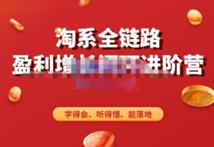 淘系全链路盈利增长闭环进阶营，融合全店动销，学得会、听得懂、能落地！-16888副业资讯
