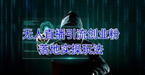 外面收费3980的无人直播引流创业粉落地实操玩法，单日引100+精准创业粉-16888副业资讯