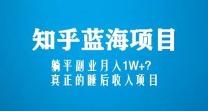 知乎蓝海玩法，躺平副业月入1W+，真正的睡后收入项目（6节视频课）-16888副业资讯