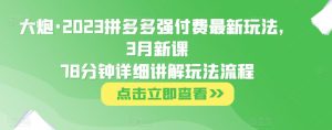 大炮·2023拼多多强付费最新玩法,3月新课78分钟详细讲解玩法流程-16888副业资讯