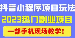 抖音小程序9.0新技巧，2023热门副业项目，动动手指轻松变现-16888副业资讯