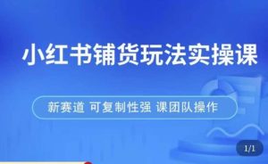小红书铺货玩法实操课,流量大,竞争小,非常好做,新赛道,可复制性强,可团队操作-16888副业资讯