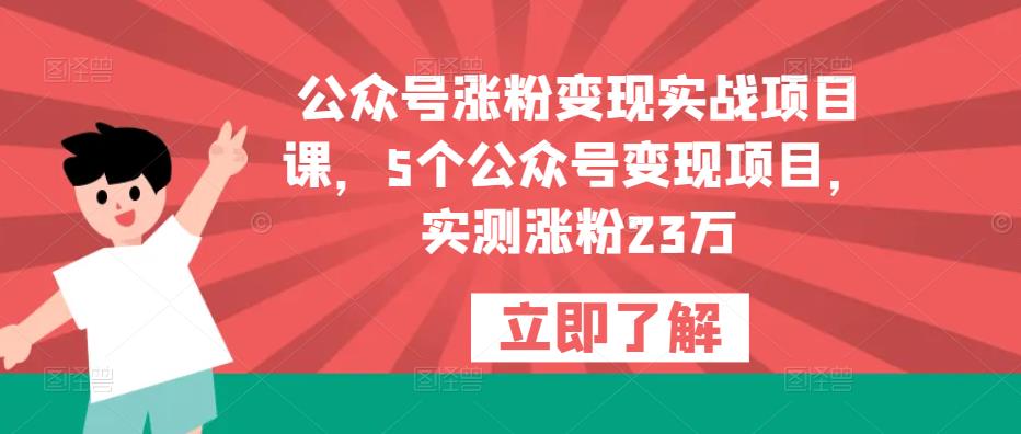 公众号涨粉变现实战项目课，5个公众号变现项目，实测涨粉23万-16888副业资讯