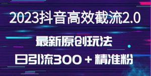 日引300+创业粉,独家抖音高效截流2.0玩法(价值1280)-16888副业资讯