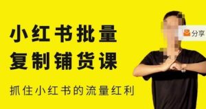 张宾·小红书批量复制铺货课,小红书0-1快速起号变现玩法,抓住小红书的流量红利(更新2023年3月)-16888副业资讯