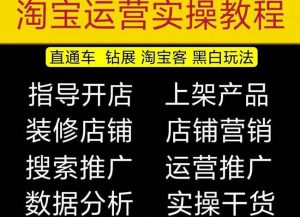 2023淘宝开店教程0基础到高级全套视频网店电商运营培训教学课程-16888副业资讯