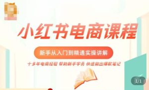 小红书电商新手入门到精通实操课，从入门到精通做爆款笔记，开店运营-16888副业资讯