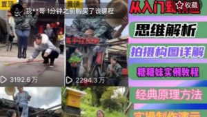 东方糖糖妹抖音短视频全套实战课思维+拍摄+剪辑+运营，从入门到精通-16888副业资讯