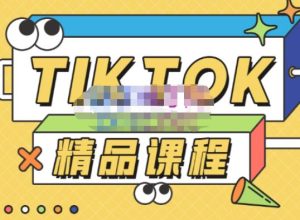 电商孵化中心·TikTok精品课程，教你玩转海外抖音，低成本创业，带您从0开始玩转TikTok-16888副业资讯