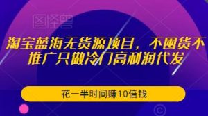 淘宝蓝海无货源项目，不囤货不推广只做冷门高利润代发，花一半时间赚10倍钱-16888副业资讯