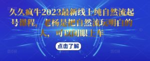 久久疯牛2023最新线上纯自然流起号课程，老杨是把自然流玩明白的人，可以闭眼上车-16888副业资讯