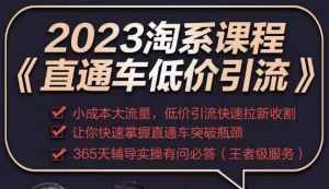 2023直通车低价引流玩法课程，小成本大流量，低价引流快速拉新收割，让你快速掌握直通车突破瓶颈-16888副业资讯