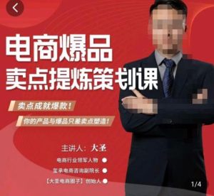 大圣·电商标品爆款卖点策划课,标品卖点成就爆款,可落地卖点提炼课-16888副业资讯