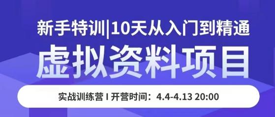虚拟资料项目新手特训，10天从入门到精通，保姆级实操教学-16888副业资讯