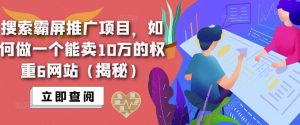 搜索霸屏推广项目,如何做一个能卖10万的权重6网站(揭秘)-16888副业资讯