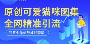 黑科技纯原创可爱猫咪图片，全网精准引流，实操5个VX号被加频繁-16888副业资讯